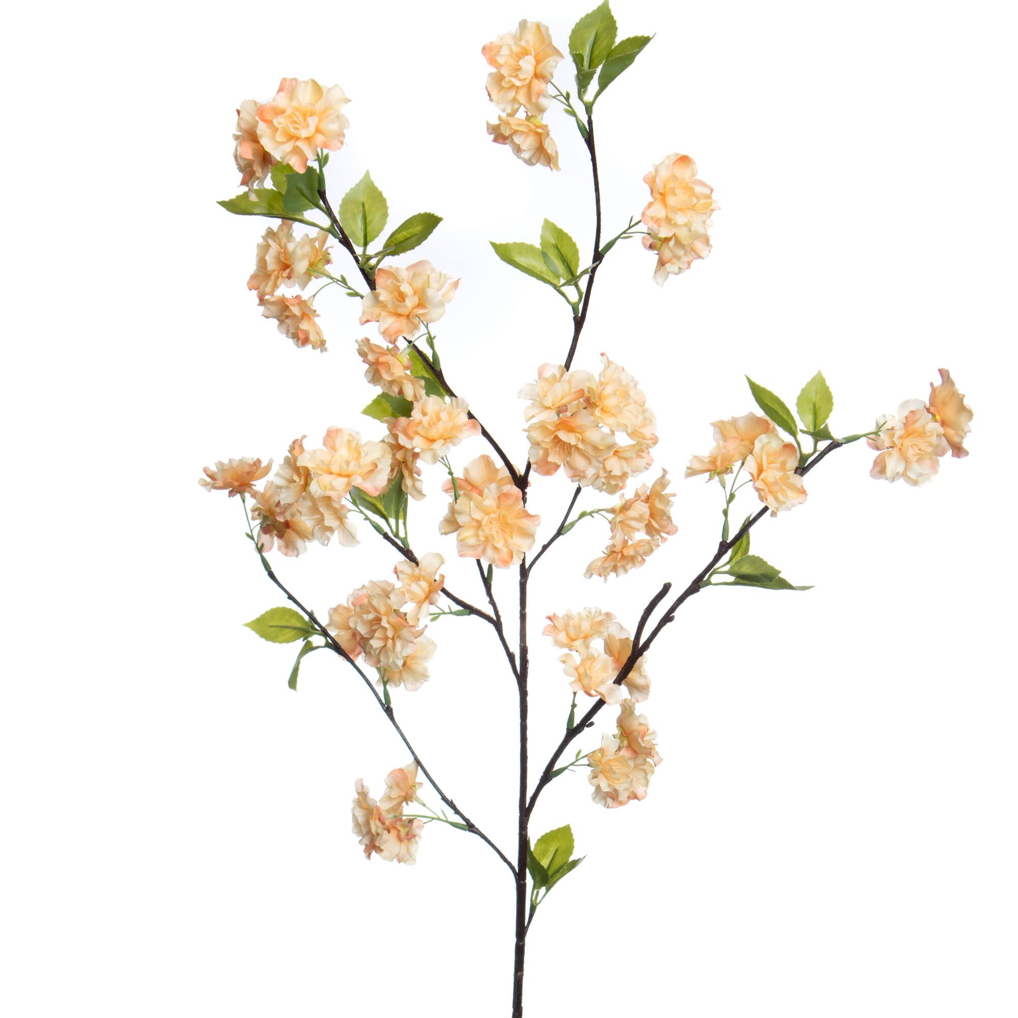 35.5" Cherry Blossom Stem by Ashland